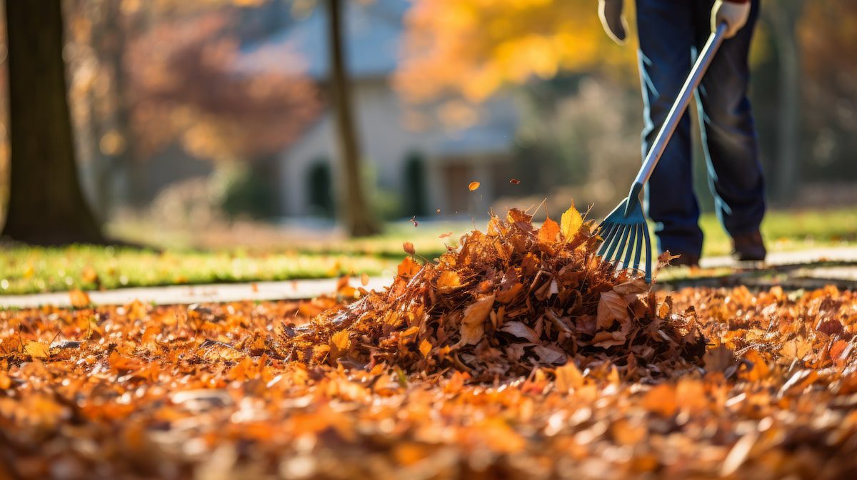 person raking leaves in their yard