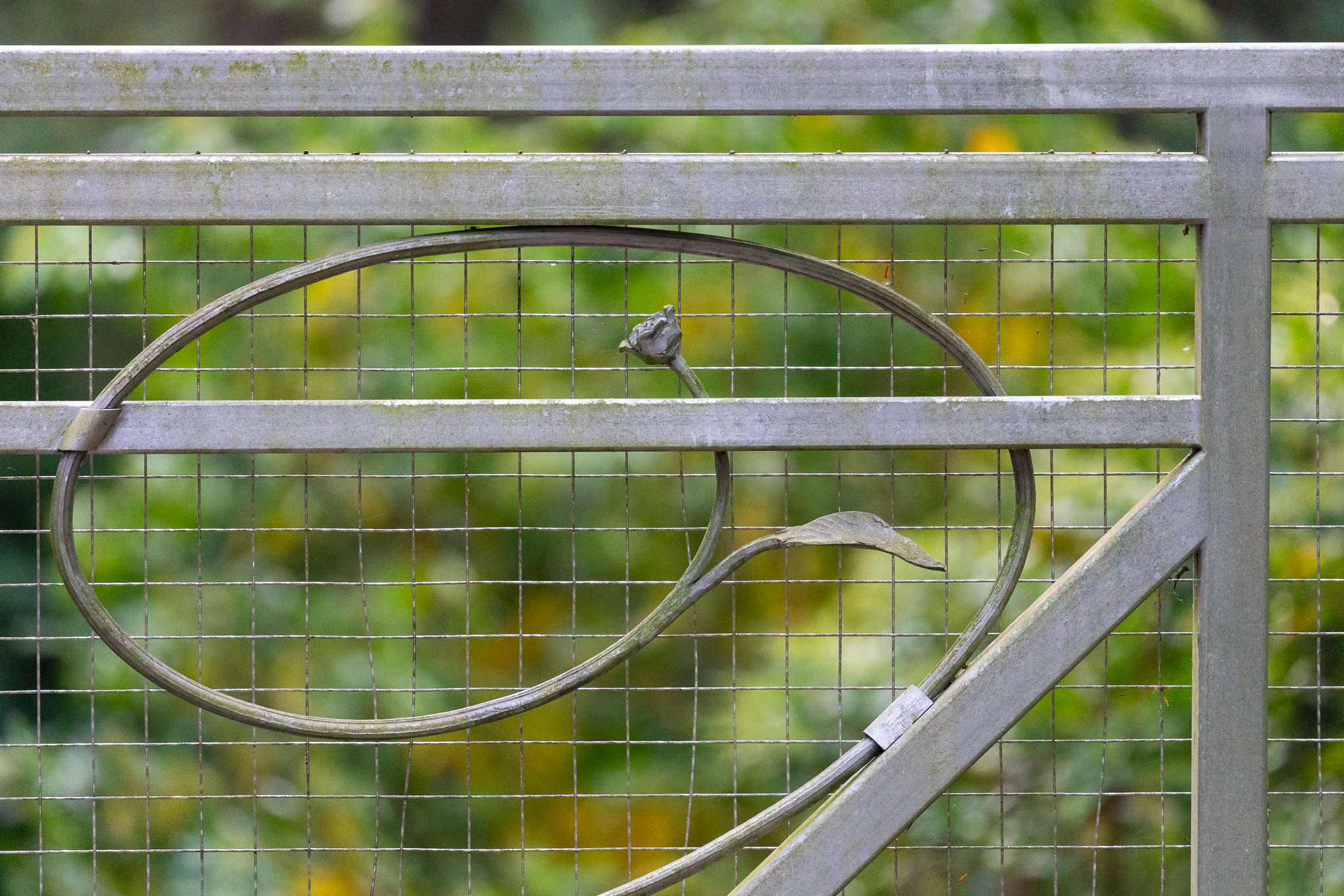 A metal sliding driveway gate sporting ornamental vines and a close-up of leaves and flowers at the end of them.