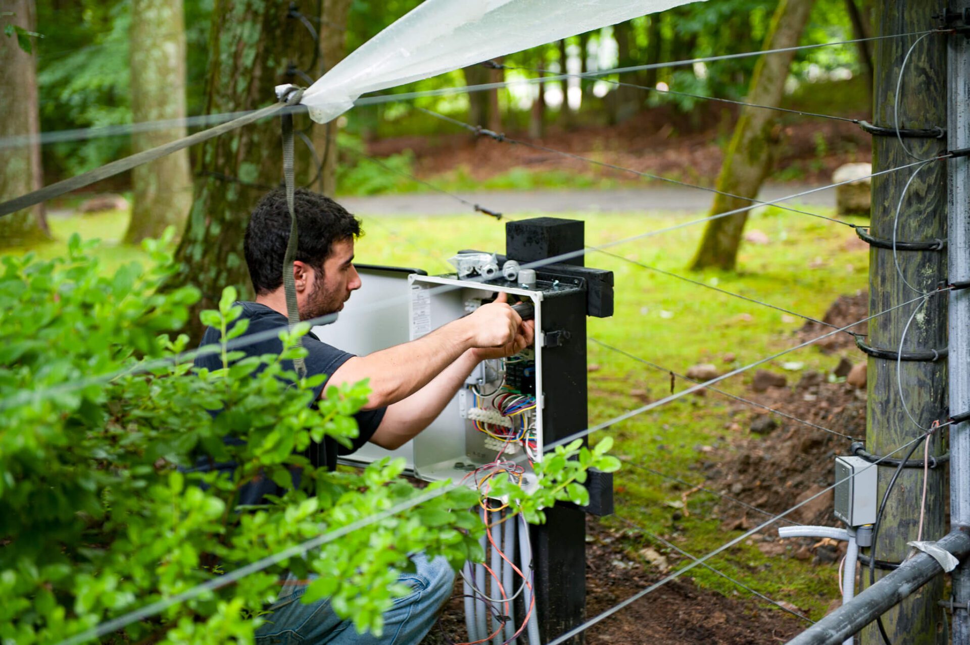 Driveway gate maintenance